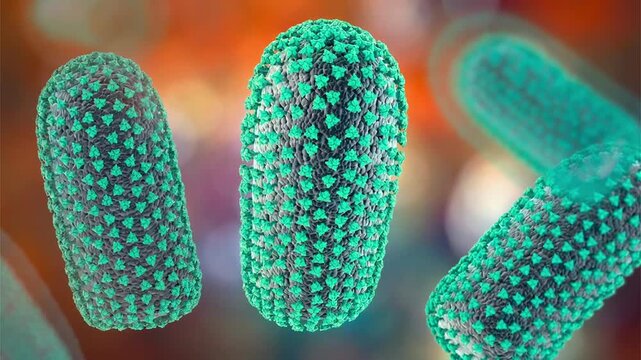 Rabies virus particles, 3D animation showing slowly rotating bullet-shaped enveloped virions, illustrating neurotropic viral infection.