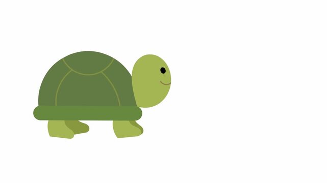 Green turtle walking 2d animation cartoon on white background