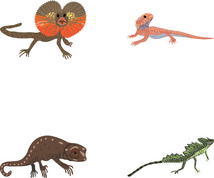 Four unique diverse lizard species on a white background, including frilled and bearded dragon designs