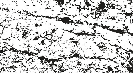 Fototapeta premium Abstract Grunge Texture. Tree bark Background. Vector illustration.