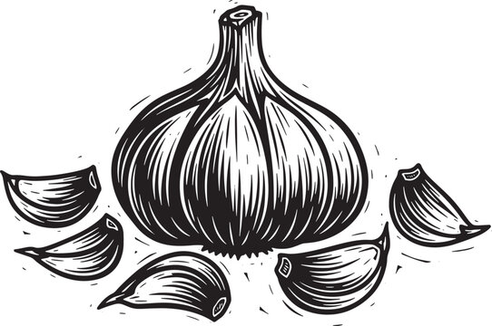 Woodcut style whole garlic and cloves