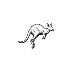 Fototapeta premium Vintage kangaroo engraving vector, hand drawn jumping wallaby illustration, black and white Australian wildlife sketch for logo design.