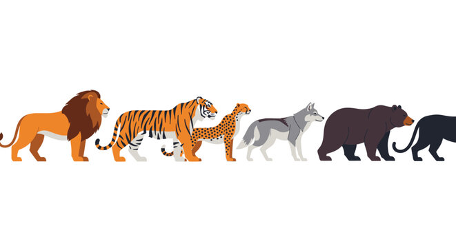 Diverse wildlife illustration featuring lions tigers leopards wolves and bears
