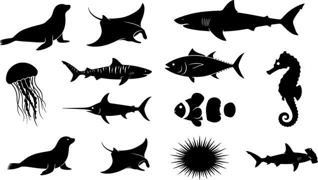 Marine animals silhouettes illustration featuring sharks, manta rays, seals, jellyfish, seahorse, and fish symbolizing ocean wildlife, nature, creativity, and design concepts