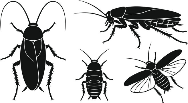 Black Cockroach Silhouette Vector Icon Set Showing Top Side View and Flying Pest Positions for Extermination Exterminator and Pest Control Branding Designs
