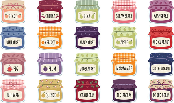 Fruit jam jar sticker bundle with cute preserves labels including strawberry, blueberry, raspberry, cherry, apricot, and marmalade for kitchen graphic design elements