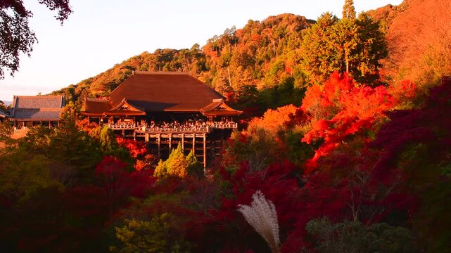 真っ赤な紅葉と清水寺の秋