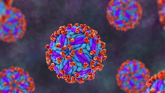 Zika virus with attached antibodies, 3D animation showing flavivirus particles bound by neutralising immunoglobulins, illustrating antiviral immune response.