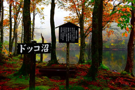 山形県 山形市の蔵王中央ロープウェイ（秋）