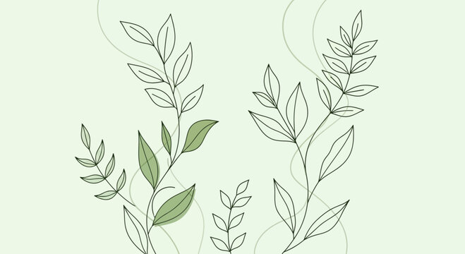 Minimalist Botanical Illustration: Delicate Leaves and Stems on Light Green Background
