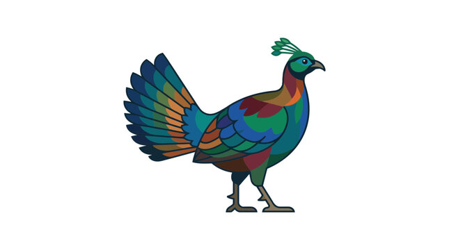 Colorful Himalayan Monal Pheasant Bird Illustration Isolated White Background
