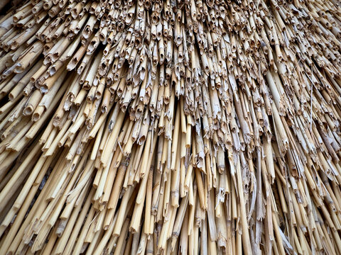 Close-up of a traditional thatched roof made from dried reeds or straw, showcasing the texture and pattern of the natural material.