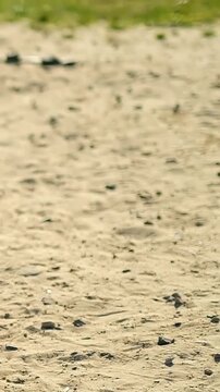 Vertical video: Shifting barefoot boy white tee playing kicking soccer ball on sand moving forward