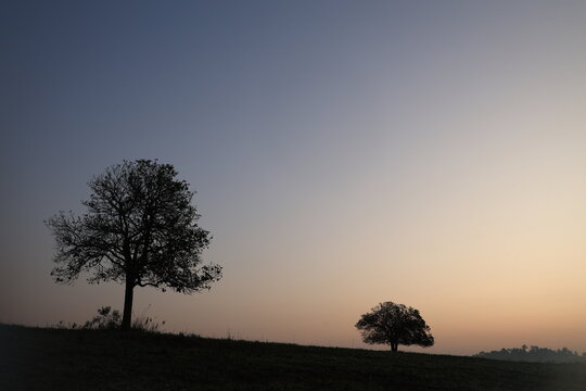The sunrises in the early morning over the grasslands of Thung Kamang, Phu Khiao Wildlife Sanctuary, Chaiyaphum Province, Thailand.
