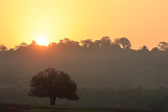 The sunrises in the early morning over the grasslands of Thung Kamang, Phu Khiao Wildlife Sanctuary, Chaiyaphum Province, Thailand.
