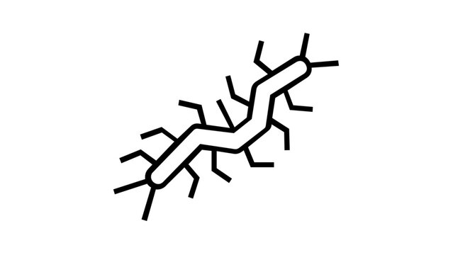 Stylized crawling centipede vector illustration in a minimalist thin line icon style showcasing its multi-legged form and long body isolated on a plain background for various creative projects.