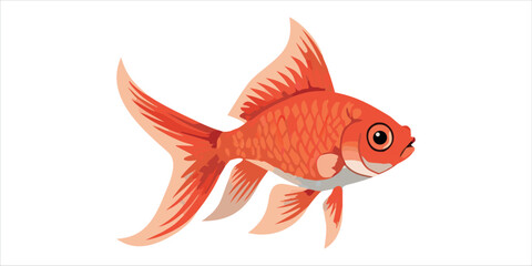 Fototapeta premium Bright red goldfish vector illustration isolated on white background.Cute orange red goldfish cartoon character swimming side view.Shining golden fish mascot flat vector design for aquarium theme.