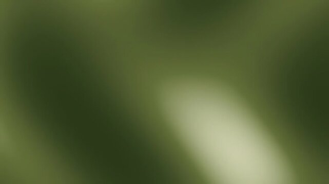 Close up of a vibrant green leaf with detailed veins and texture.