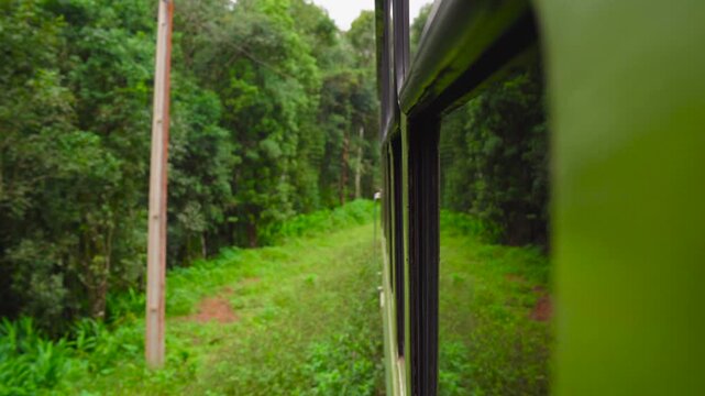 Winding tracks of a mountain railway hidden inside the Brazilian forest, Serra do Mar, Brazil