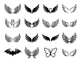 Obraz premium Set of various bird and insect wings