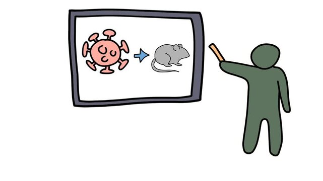 Hanta Virus Transmission Illustration with Rodent 
