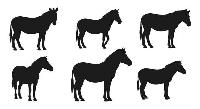 Collection of six horse silhouettes in various poses on a white background, showcasing their distinct equine forms
