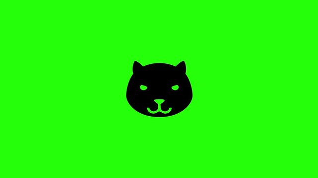 4K horizontal layout featuring a cute symmetrical domestic kitten cat head avatar icon bouncing. Dynamic asset for veterinary shelter mobile interface.