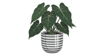 Tropical houseplant illustration in a modern striped ceramic pot isolated on white background. © RGN