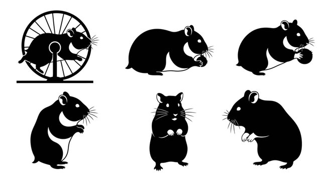 Set of six black and white illustrations of hamsters in various poses and activities, isolated on a white background