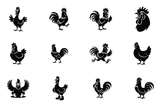 Collection of black fanny chicken and rooster silhouettes on white background, vector illustration