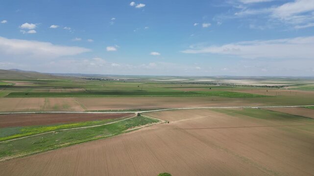 Large fields with a drone_Green fields_Agricultural lands_4K