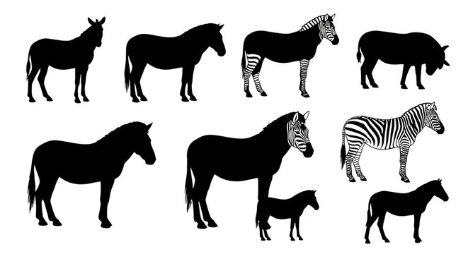 Collection of Silhouetted Zebras and Equine Animals in Various Poses and Styles
