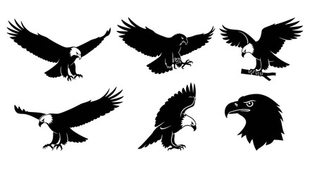 Obraz premium Collection of eagle illustrations in silhouette, showcasing their majestic flight and regal profile