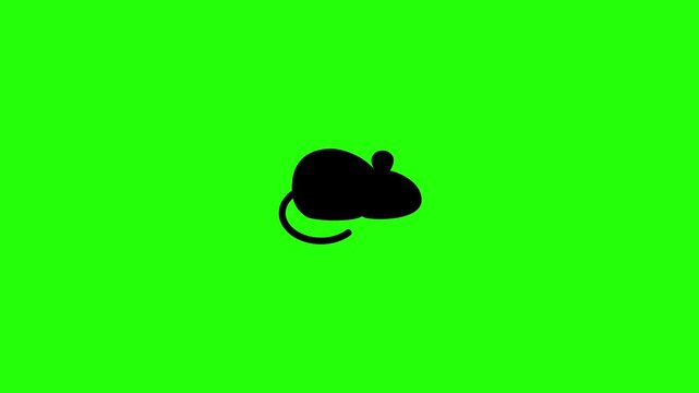 4K resolution video of a tiny small rodent pet mouse hamster profile silhouette with curved tail bouncing into view. Playful popup transition element for web.