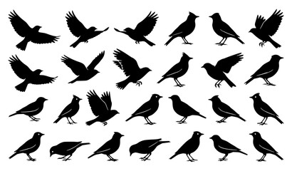 Songbird lark silhouette vector assortment featuring avian wildlife isolated on white background © abdul