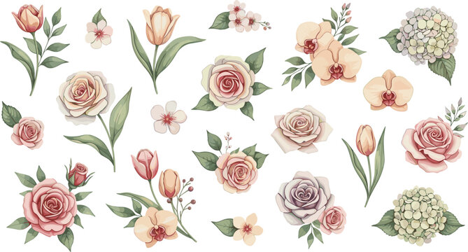 Elegant Floral Collection Vector Illustration Featuring Roses Tulips Orchids Hydrangea and Soft Botanical Elements in Vintage Hand Drawn Style