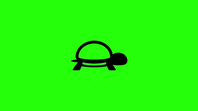 4K layout featuring a slow domestic reptile turtle terrapin silhouette showing its protective oval carapace shell bouncing cleanly. Creative icon for terrarium shop.