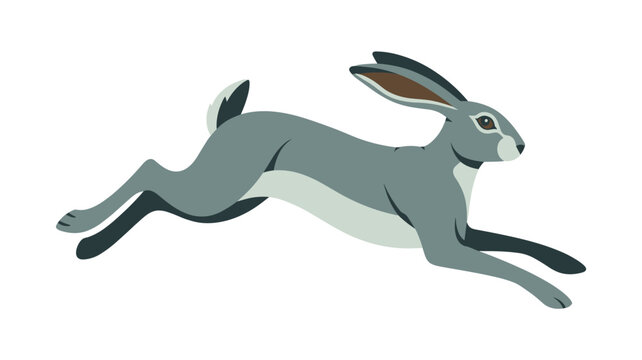 A detailed gray hare illustration in a mid-run leaping posture featuring naturalistic brown ear accents and a soft cream underbelly set against a white backdrop.