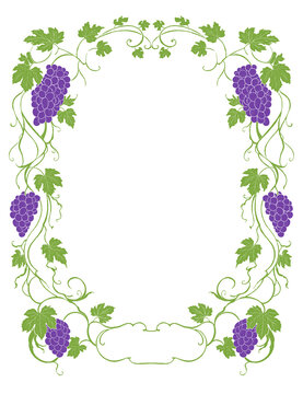 Old Grape Vine Botanical Border Frame Vintage Hand Drawn Illustration