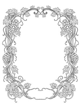 Old Grape Vine Botanical Border Frame Vintage Hand Drawn Illustration