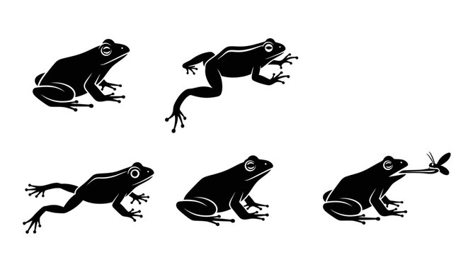 Black silhouettes of five active frogs in various dynamic poses, including one frog catching an insect with its tongue, illustrating amphibian movement and natural hunting