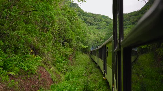 Tourist train traveling through dense rainforest with lush green canopy, Serra do Mar, Brazil