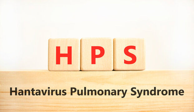 HPS hantavirus pulmonary syndrome symbol. Concept words HPS hantavirus pulmonary syndrome on beautiful wooden blocks. Beautiful white background. Medical HPS Hantavirus concept. Copy space.