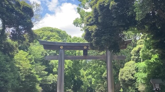 Traditional wooden Torii gate surrounded by green forest at Meiji Jingu Shrine with audio of walking on gravel and wind rustling trees