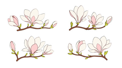 Set of hand drawn magnolia branches with blooming flowers © Andrei