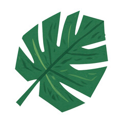 Obraz premium PNG Tropical leaf illustration design.