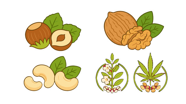 Set of nut and seed plant icons for milk packaging design