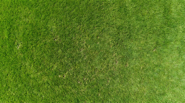 Seamless aerial top view of vibrant green sports field grass pitch texture. High-quality natural turf background suitable for golf, soccer, football, or rugby athletic stadium ground surface.