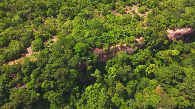 Drone video of the Attapeu valley landscape as seen from near Khamtay Cave, Attapeu Province, Laos. The aerial view captures the vast agricultural plain with rice fields in various stages of cultivati