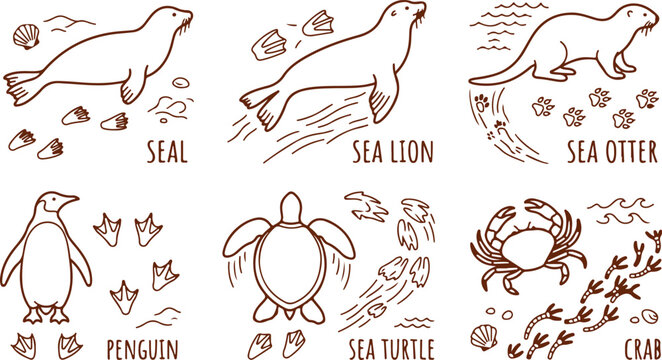 Marine animals illustrations seal sea lion sea otter penguin sea turtle crab and shells ocean life art.
